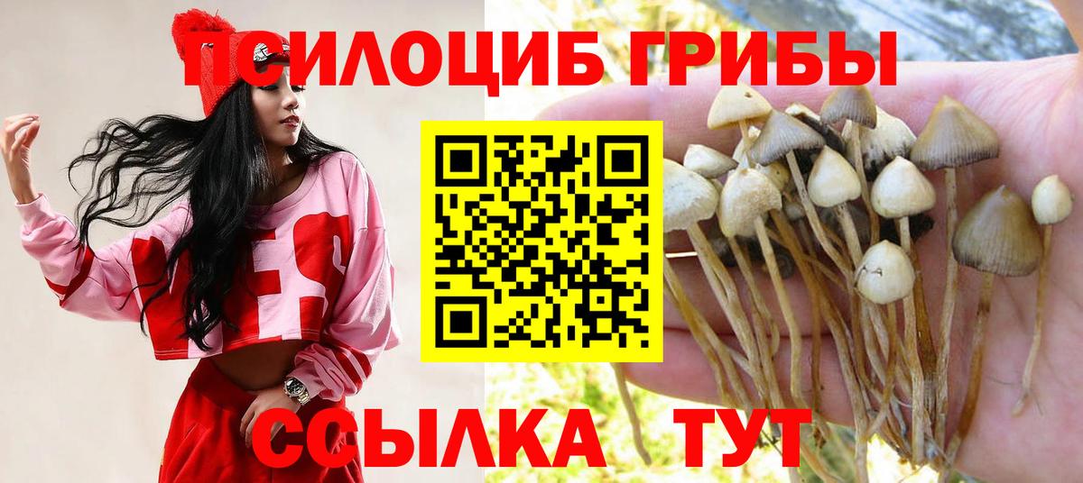 Галлюциногенные грибы Cubensis  Вход с VPN  Видное 
